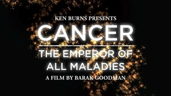 Cancer The Emperor Of All Maladies 2664 Serie1 678x381 