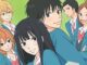 Série Kimi ni Todoke