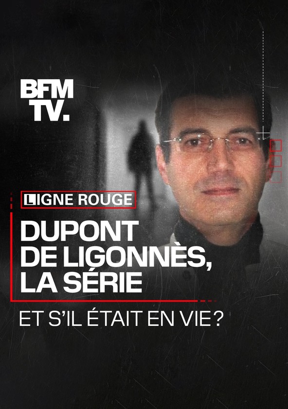 Dupont de Ligonnès, la série