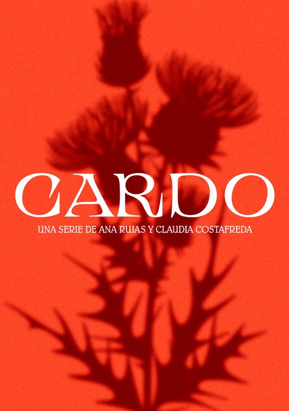 Cardo