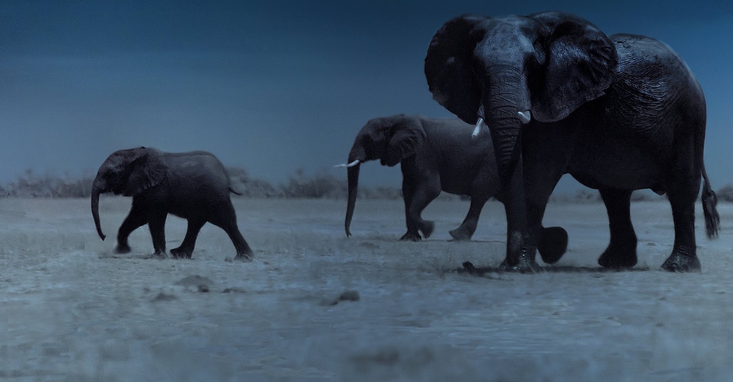 première saison 2 La Terre, La Nuit