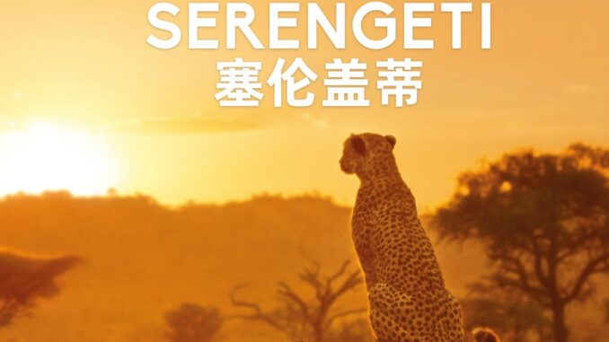 Série Serengeti