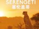 Série Serengeti