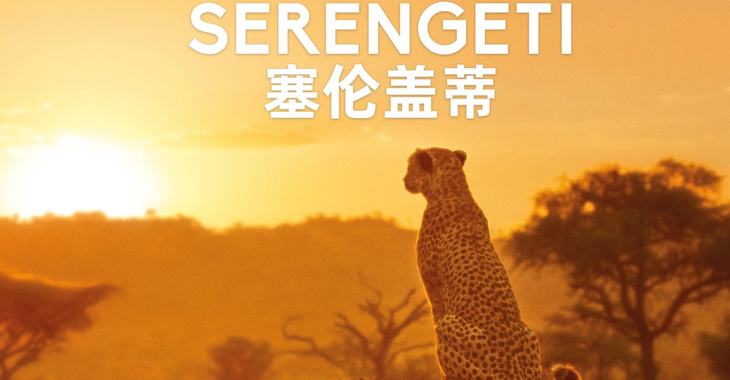 Où regarder la série Serengeti