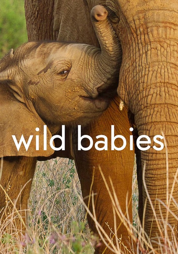 Wild Babies : Petits et Sauvages