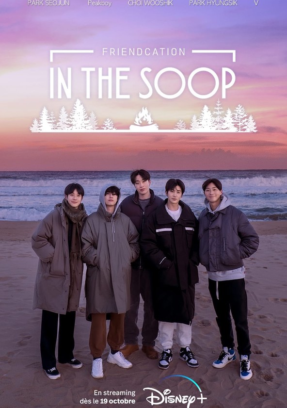 Où regarder la série In The Soop : Friendcation