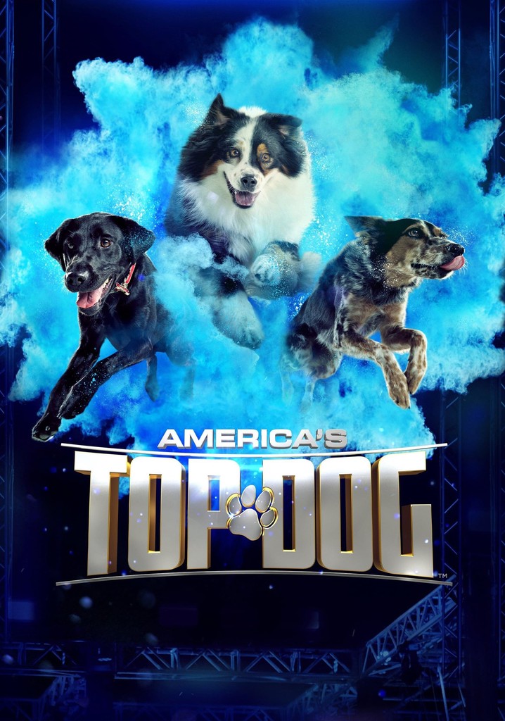 Serie America’s Top Dog Sinopsis, Opiniones y mucho más FiebreSeries