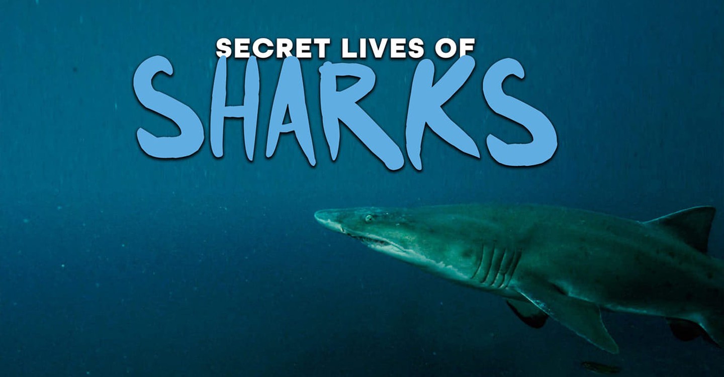 serie The Secret Lives of Sharks