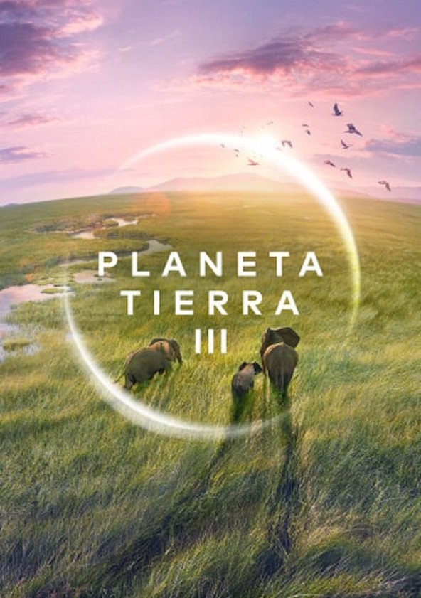 dónde ver la serie Planeta Tierra III