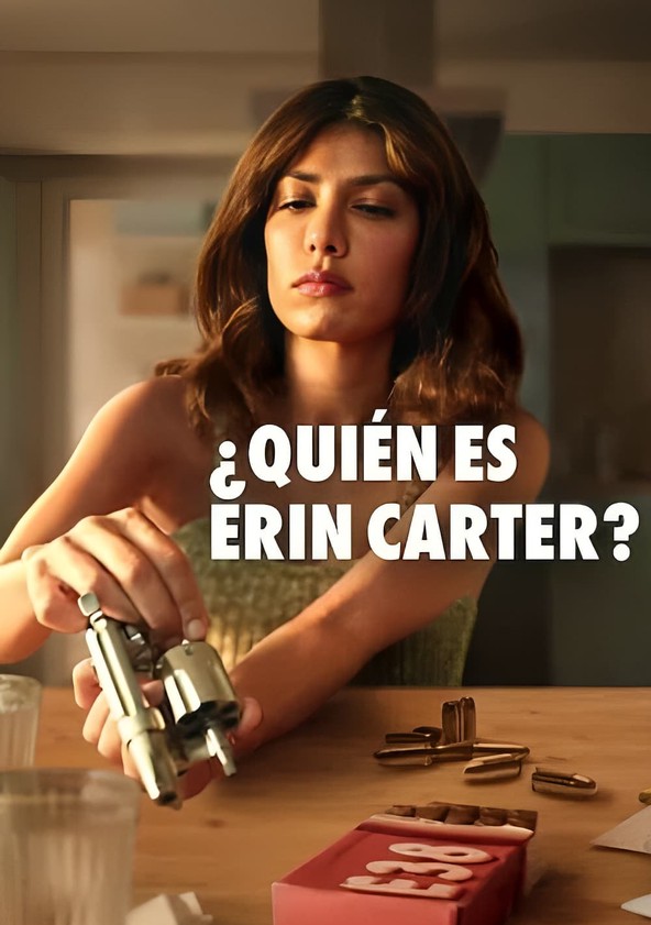 dónde ver la serie ¿Quién es Erin Carter?